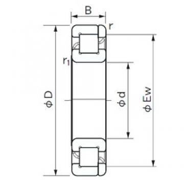 25 mm x 52 mm x 15 mm  NACHI NP 205 цилиндрические роликоподшипники