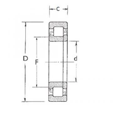 75 mm x 130 mm x 25 mm  FBJ NUP215 цилиндрические роликоподшипники