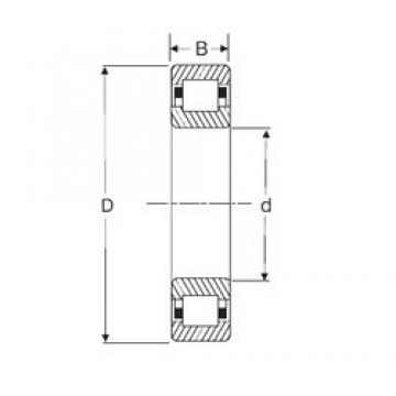 35 mm x 72 mm x 23 mm  SIGMA NUP 2207 цилиндрические роликоподшипники