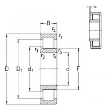 55 mm x 120 mm x 43 mm  NKE NJ2311-E-MA6 цилиндрические роликоподшипники