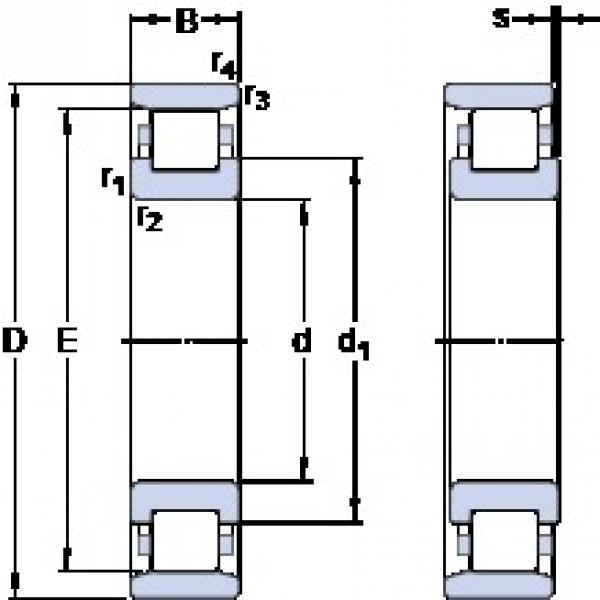 25 mm x 52 mm x 15 mm  SKF N 205 ECP упорные шарикоподшипники #1 image