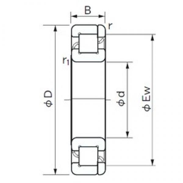 170 mm x 310 mm x 52 mm  NACHI NP 234 цилиндрические роликоподшипники #1 image