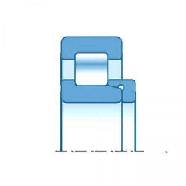 120,000 mm x 260,000 mm x 69,000 mm  NTN NH324 цилиндрические роликоподшипники #1 image