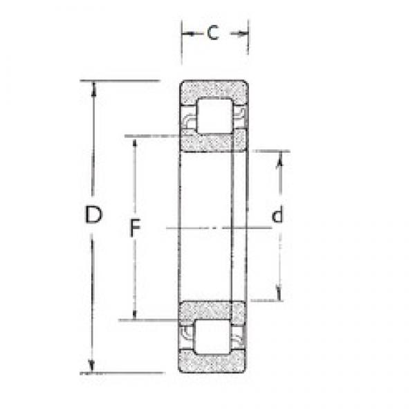 75 mm x 130 mm x 25 mm  FBJ NUP215 цилиндрические роликоподшипники #1 image