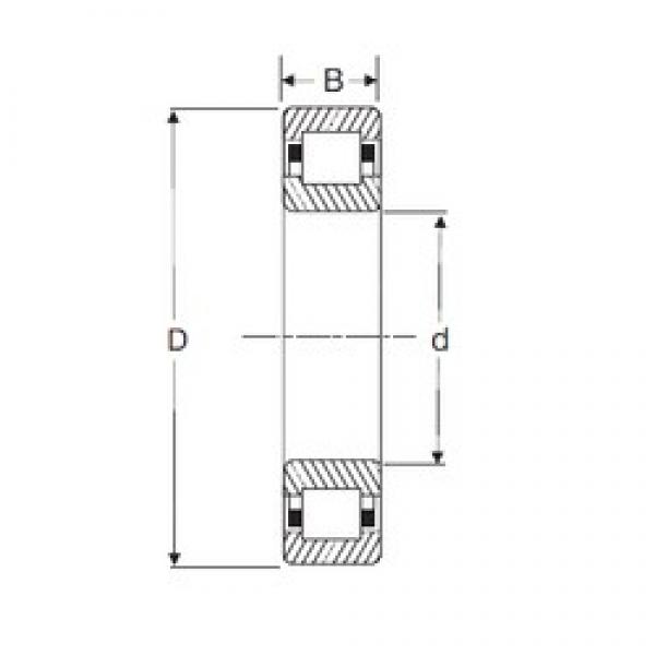 35 mm x 72 mm x 23 mm  SIGMA NUP 2207 цилиндрические роликоподшипники #1 image