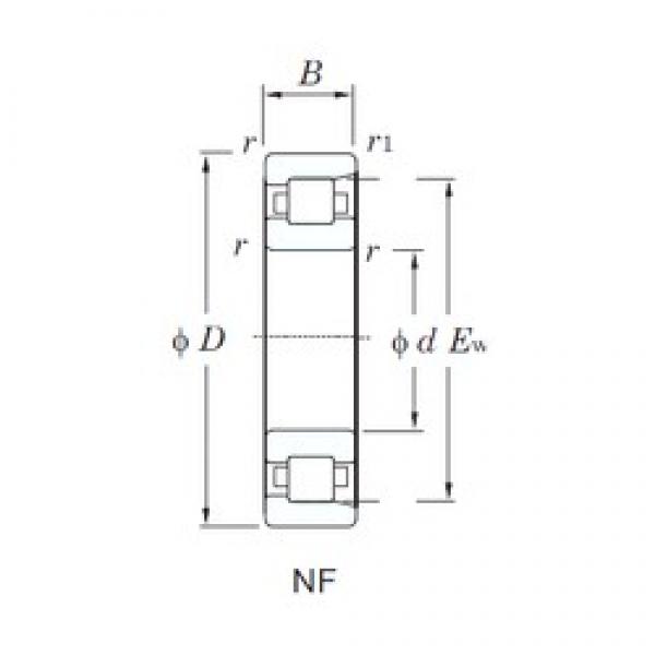 30 mm x 72 mm x 19 mm  KOYO NF306 цилиндрические роликоподшипники #1 image