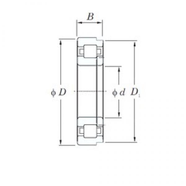 30 mm x 62 mm x 16 mm  KOYO NUP206 цилиндрические роликоподшипники #1 image