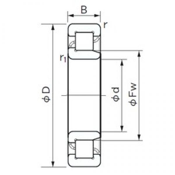 110 mm x 240 mm x 50 mm  NACHI NJ 322 цилиндрические роликоподшипники #1 image