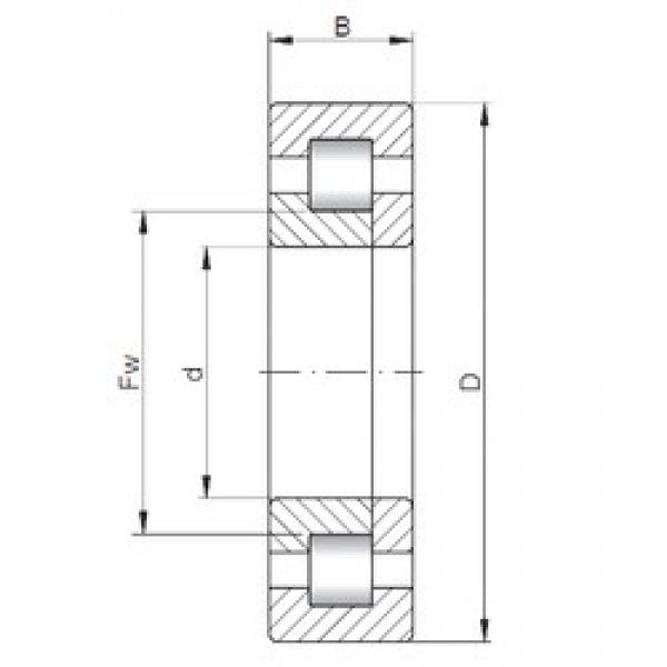 60 mm x 110 mm x 36,5 mm  ISO NUP5212 цилиндрические роликоподшипники #1 image