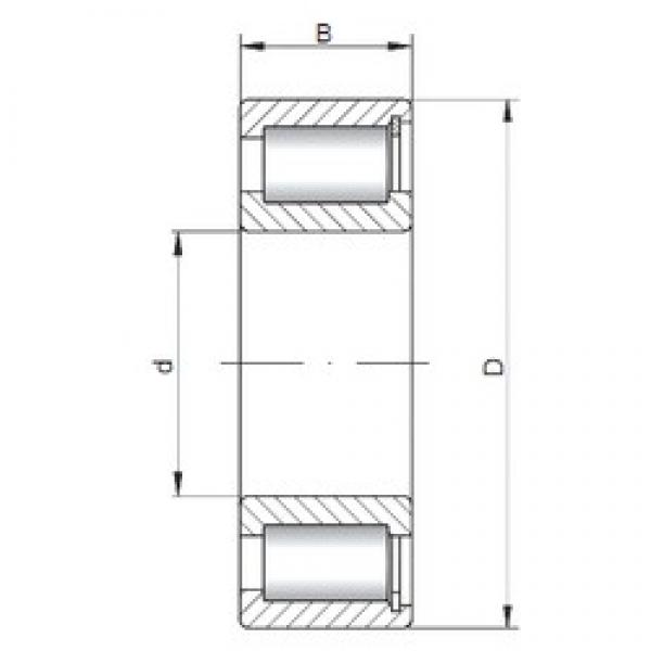 95 mm x 170 mm x 43 mm  ISO NCF2219 V цилиндрические роликоподшипники #1 image