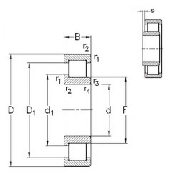 55 mm x 120 mm x 43 mm  NKE NJ2311-E-MA6 цилиндрические роликоподшипники #1 image