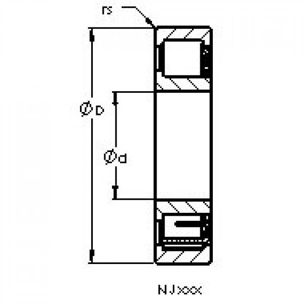 AST NJ2304 EMA цилиндрические роликоподшипники #1 image