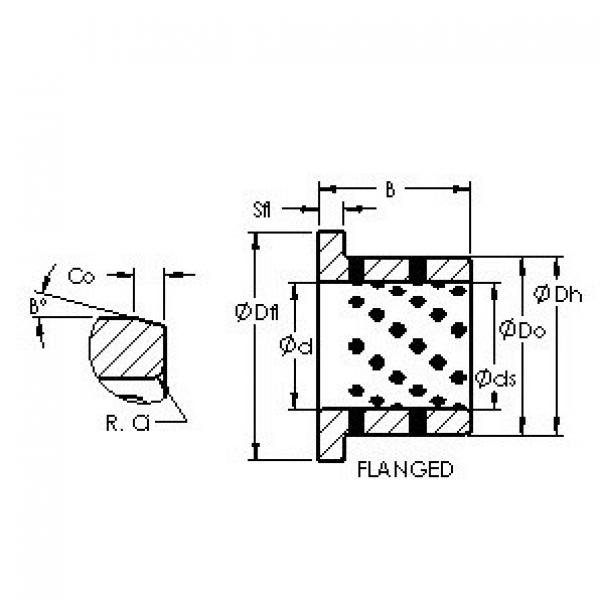 AST AST650 F304020 подшипники скольжения #1 image