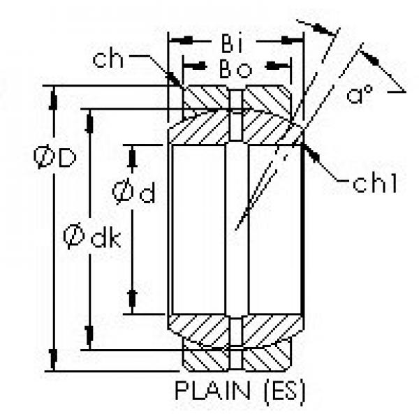 AST GEZ241ES подшипники скольжения #1 image